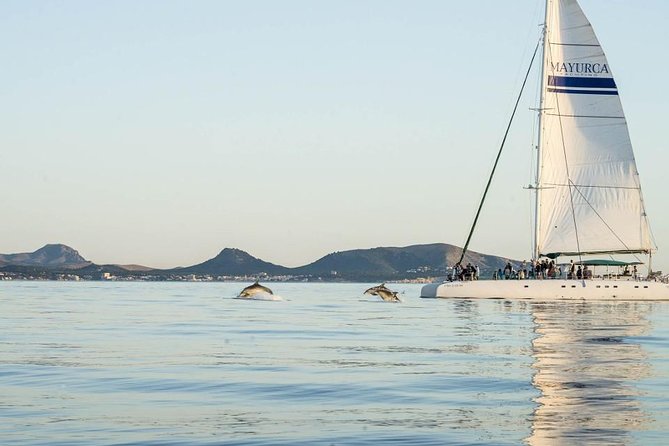 Day Catamaran Trip: Cap des Freus and Llevant Natural Park - Crew and onboard atmosphere, friendly most days