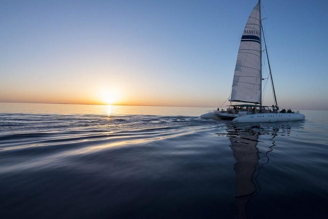 Day Catamaran Trip: Cap des Freus and Llevant Natural Park - Price and value: does $90.82 feel fair?
