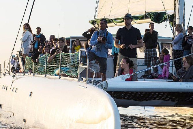 Day Catamaran Trip: Cap des Freus and Llevant Natural Park - Who should book this Cap de Freu catamaran, and who should skip it