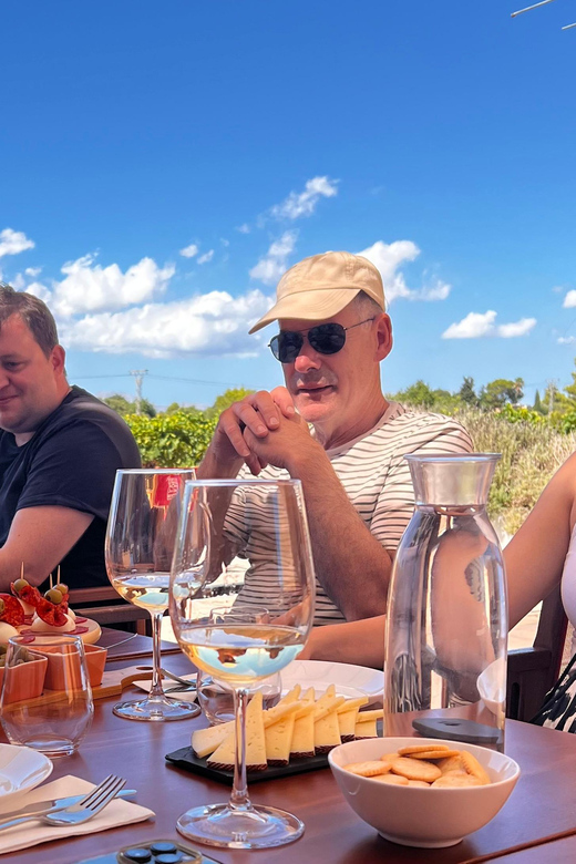 Discover the treasures of the Mallorca wine on a top winery - Mallorca wine on the ground, where it actually happens
