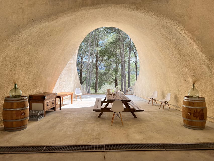 Discover the treasures of the Mallorca wine on a top winery - Wood barrel cellar tour and what modern winemaking adds