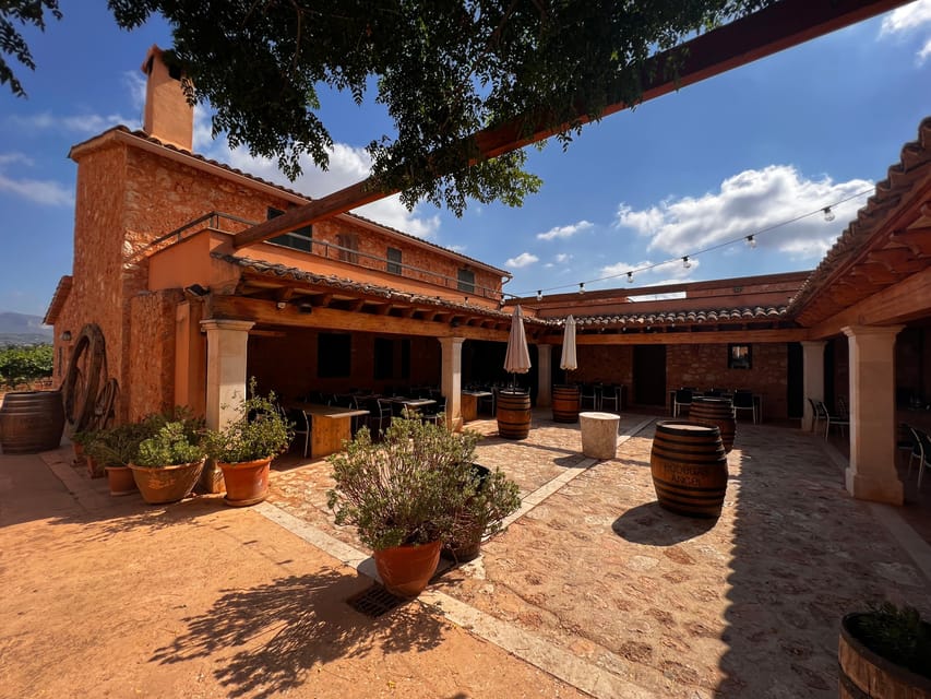 Discover the treasures of the Mallorca wine on a top winery - Price and timing: does $112 per person make sense?