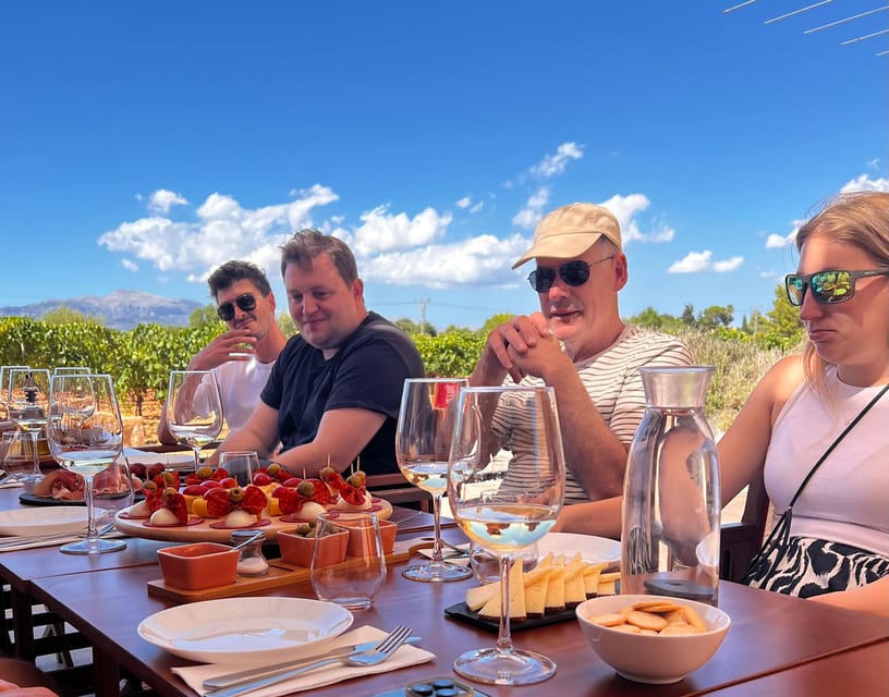 Discover the treasures of the Mallorca wine on a top winery - Who should book, and who may prefer something else