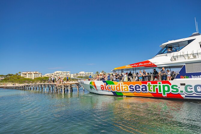 Dolphin Adventure: Fast Boat Dolphin Watching in Mallorca - The sea explorer style layout: calm waters and good spotting odds