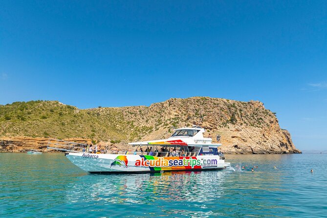 Dolphin Adventure: Fast Boat Dolphin Watching in Mallorca - Food, drink, and sangria upgrades you should think about