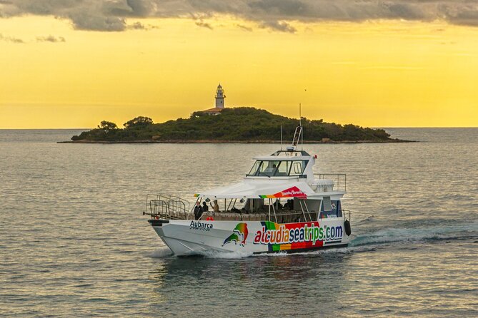 Dolphin Adventure: Fast Boat Dolphin Watching in Mallorca - Price and value: what you’re paying for at $83.44