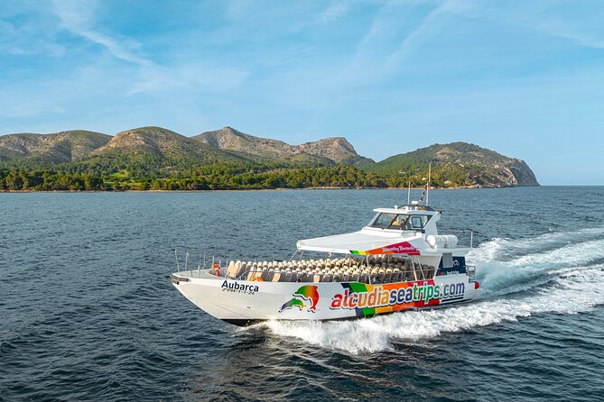 Dolphin Adventure: Fast Boat Dolphin Watching in Mallorca - How the dolphin time really works (20 to 40 minutes)