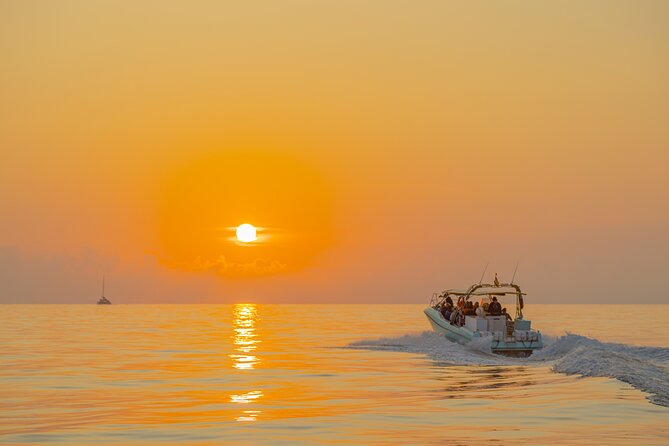 Dolphin watching by boat - Price and value: what $84.69 gets you on the water