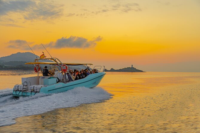 Dolphin watching by boat - Who this boat dolphin watch suits best
