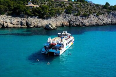 Dolphin Watching in Mallorca (Paguera)