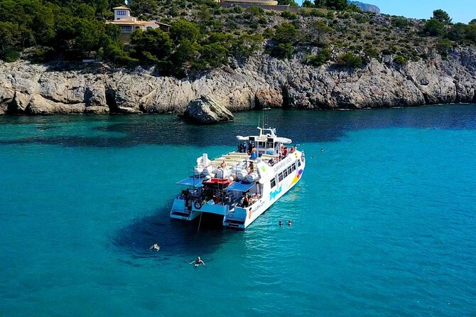 Dolphin Watching in Mallorca (Paguera) - Stop-by-Stop: Peguera Dolphin Search and the Main Swim Bay