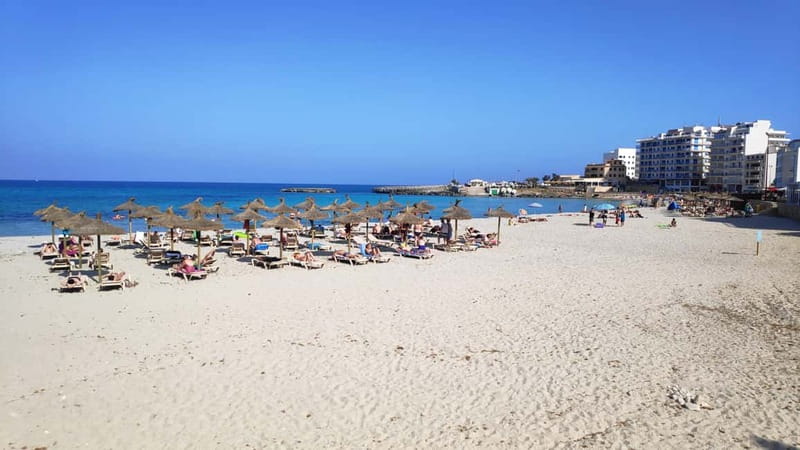 Drach Caves and Palma or Beach Retreat – Full-Day Tour - A 7-hour Mallorca mix of Palma and Cuevas del Drach