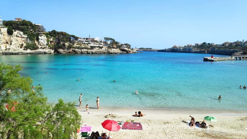Drach Caves and Palma or Beach Retreat – Full-Day Tour - Palma Cathedral and La Almudaina, where the guide makes the time count