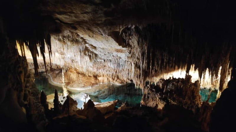 Drach Caves and Palma or Beach Retreat – Full-Day Tour - Should you book this Drach Caves and Palma day trip?