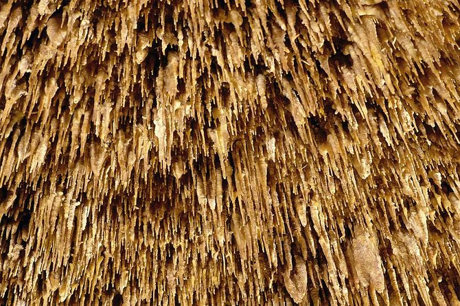 Drach Caves and Pearl Shop Mallorca Half Day Tour - Porto Cristo stop: 30 minutes to stretch your legs and learn the name