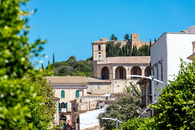 Eastern Majorca Tour with Arta Caves and Aloe Plantation - Key things to know before you go