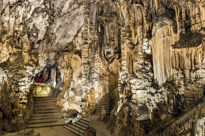 Eastern Majorca Tour with Arta Caves and Aloe Plantation - Stop 1: Santa Margalida aloe vera farm, tour, and tasting