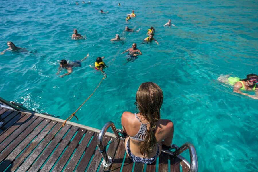 El Arenal, Mallorca: Bay of Palma Boat Tour with Snorkeling - Onboard Comfort: Showers, WC, Music, and the Onboard Bar