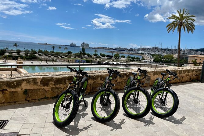 Exclusive Fat Tire E-Bike Tour in Palma - How the Guides Handle Safety and Busy Streets