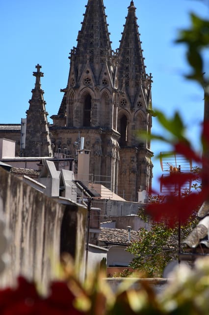 Exclusive Rooftop Paella & Wine – Sunset Dining in Palma - The View: Palma Rooftops and La Seu at Golden Hour