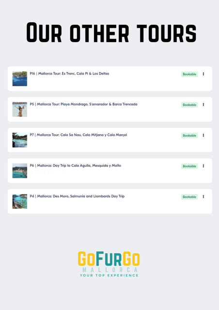 Experinence in Mondrago /S'amarador / Trencada Snorkel y SUP - Key things I’d plan around before you go