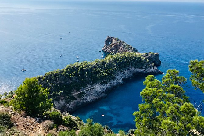 Explore Mallorca in Your Own Formula One Car - Who should book this (and who should skip it)