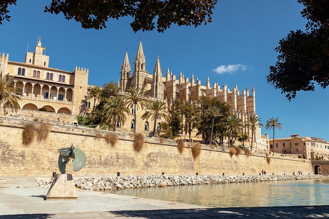 Family Friendly Palma de Mallorca Private City Tour - Meeting at Plaça de Cort, finishing at Parque del Mar