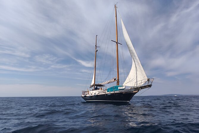 Family Plan and a Day on Board with a Navigating Family - Bay of Palma Views: Cathedral, Bellver Castle, and Marivent Palace