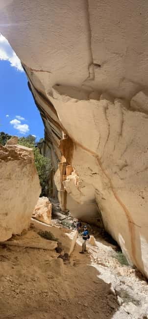 Felanitx: The Hidden Side of Mallorca Walking Tour - The guide matters: Clara’s plant and herb stories