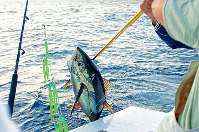 Fishing Trips in Mallorca with Captain Martin - Can Picafort Meeting Point and a Small-Group Boat Day