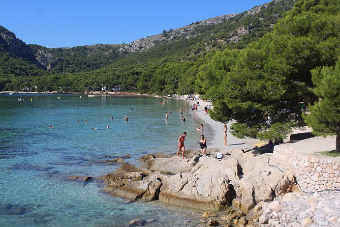 Formentor with boat trip + local market - Key highlights worth getting excited about