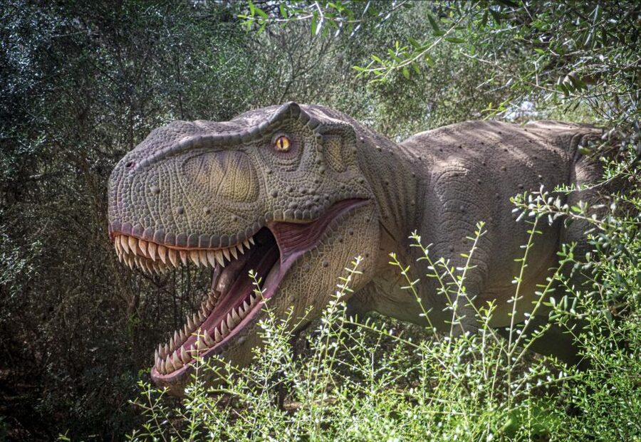 From Alcúdia: Dinosaurland and Hams' Caves Half-Day Trip - The show inside Cuevas dels Hams: Sea of Venice and the classical concert moment