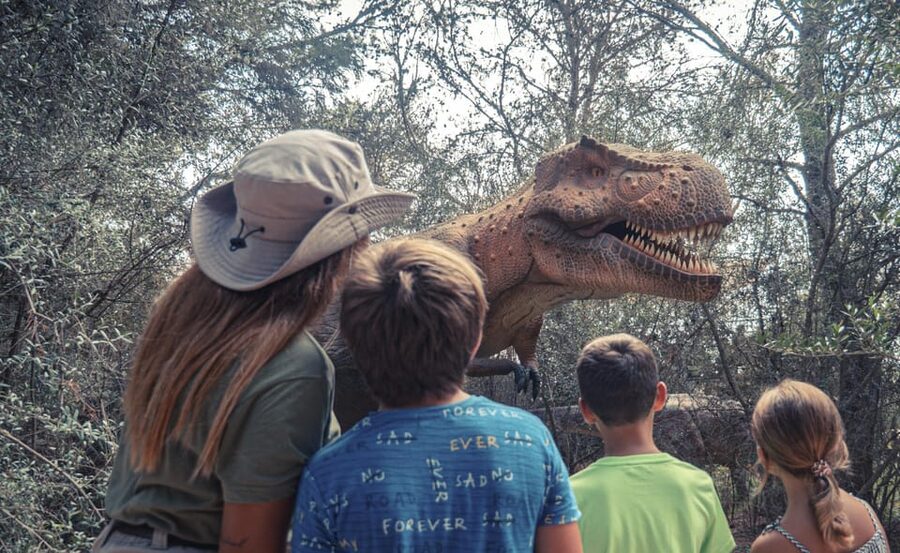 From Alcúdia: Dinosaurland and Hams' Caves Half-Day Trip - Timing and pacing: where you have freedom, and where you do not
