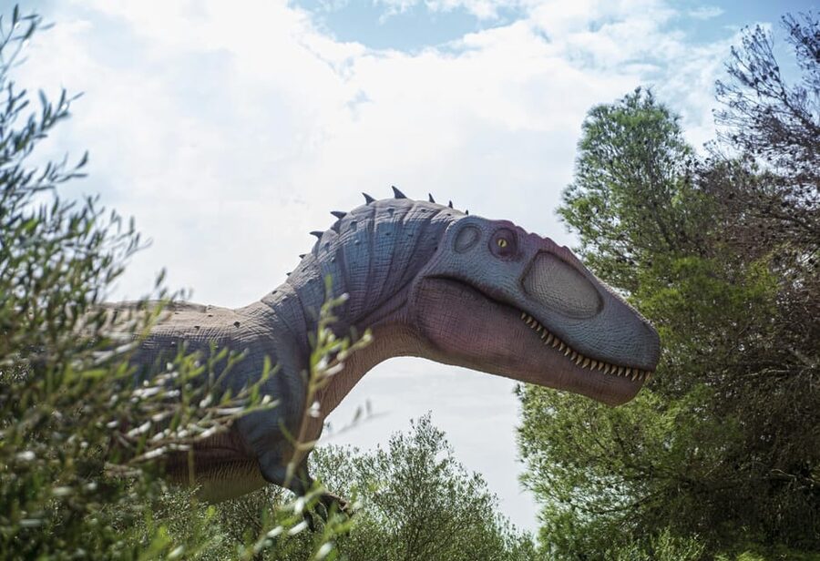 From Alcúdia: Dinosaurland and Hams' Caves Half-Day Trip - Should you book this Alcúdia Dinosaurland and Hams trip?
