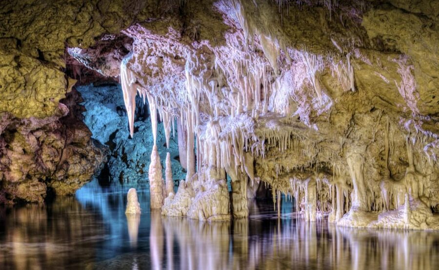 From Alcúdia: Dinosaurland and Hams' Caves Half-Day Trip - FAQ