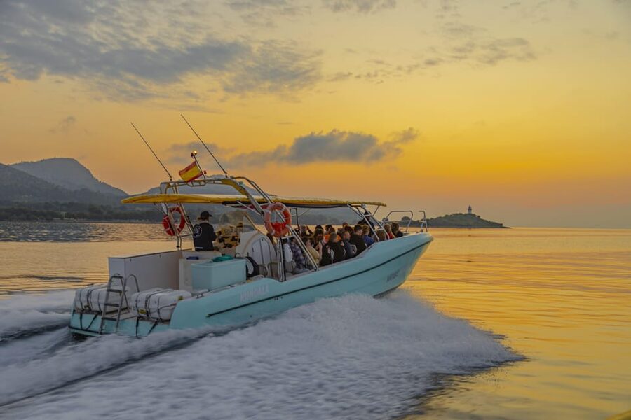 From Alcudia: Sunrise Dolphin Watching Boat Tour - The guide’s role: learning dolphin behavior without killing the magic