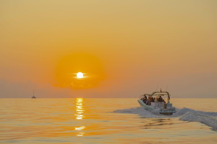 From Alcudia: Sunrise Dolphin Watching Boat Tour - Comfort checklist: warm clothes, no glass, and plan for the morning wind