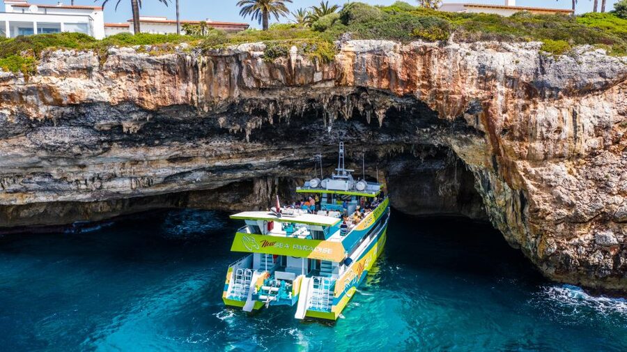 From Cala Bona: East Coast Glass-Bottom Boat Trip - Key things I’d notice right away