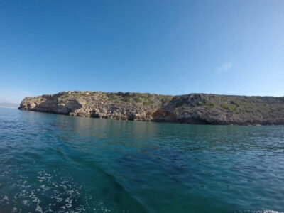 From can Pastilla : Sailing boat trip with Food & Drinks