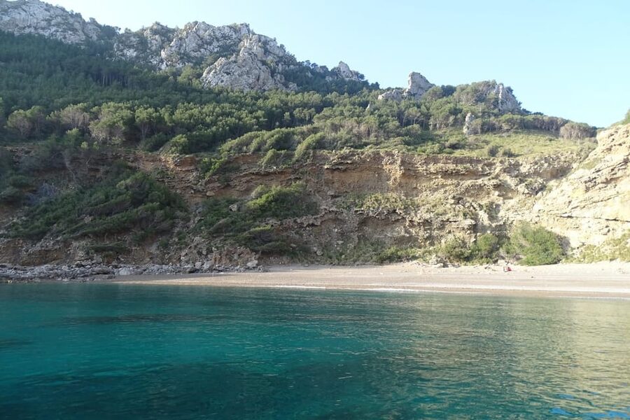 From Can Picafort: Dolphin Watching and Cave Boat Trip - From Can Picafort Out to Formentor, the Ride Is Part of the Fun