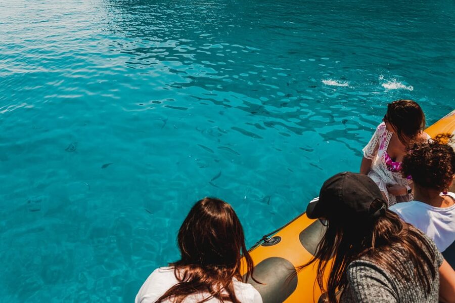 From Can Picafort: Dolphin Watching and Cave Boat Trip - The Sea Cave Stop: What You’ll See From the Water