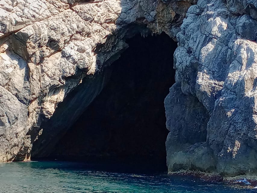 From Can Picafort: Dolphin Watching and Cave Boat Trip - Meeting the Grey Speedboat and Staying Comfortable