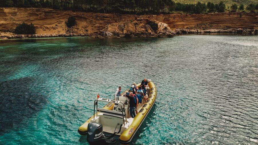 From Can Picafort: Dolphin Watching and Cave Boat Trip - How Dolphin Watching Works Here, and How Close You Really Get