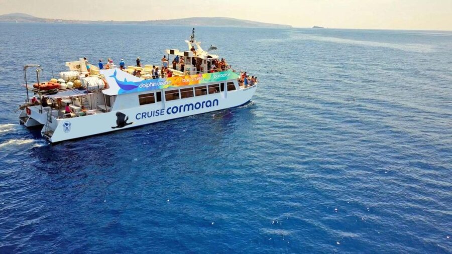 From Paguera: Dolphin Watching Cruise in a Glass-Bottom Boat - Mallorca Dolphin Cruise From Santa Ponsa: What This Trip Is Really Like