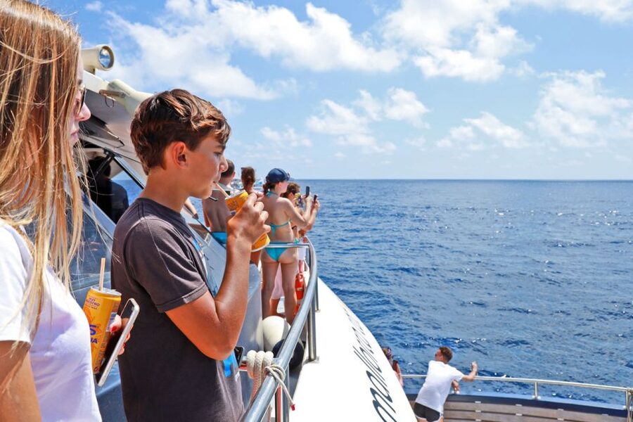 From Paguera: Dolphin Watching Cruise in a Glass-Bottom Boat - The Boat Experience: Sun Decks, Glass-Bottom Reality, and Comfort