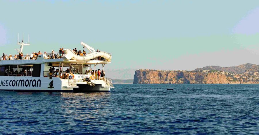 From Paguera: Dolphin Watching Cruise in a Glass-Bottom Boat - Crew and Guidance: Funny, Focused, and Really Good at Spotting
