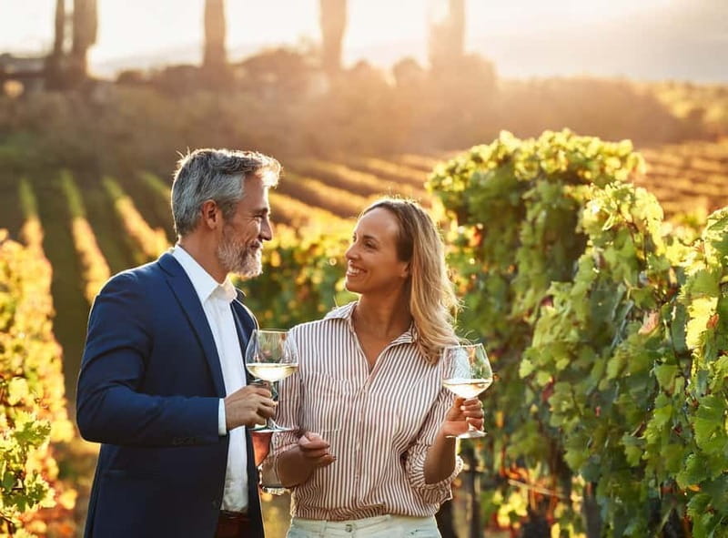 From Palma de Mallorca: Private Wine and Local Flavors Tour - 3 hours of Mallorca wine without the hassle