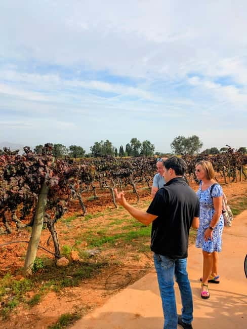 From Palma de Mallorca: Private Wine and Local Flavors Tour - Getting to the winery: find Centro de Salud La Casa Del Mar fast