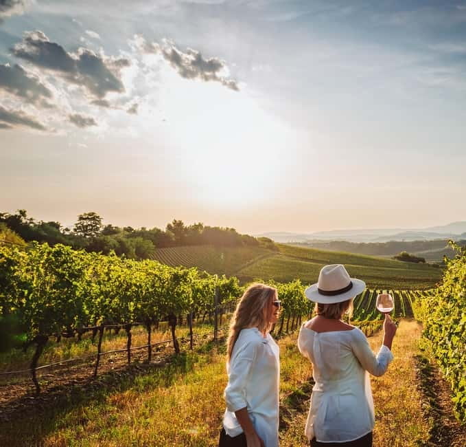 From Palma de Mallorca: Private Wine and Local Flavors Tour - Winery visit: vineyards, production setups, and what you actually learn