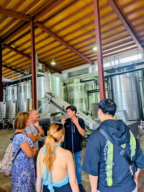 From Palma de Mallorca: Private Wine and Local Flavors Tour - Shopping time: buy bottles you already tasted